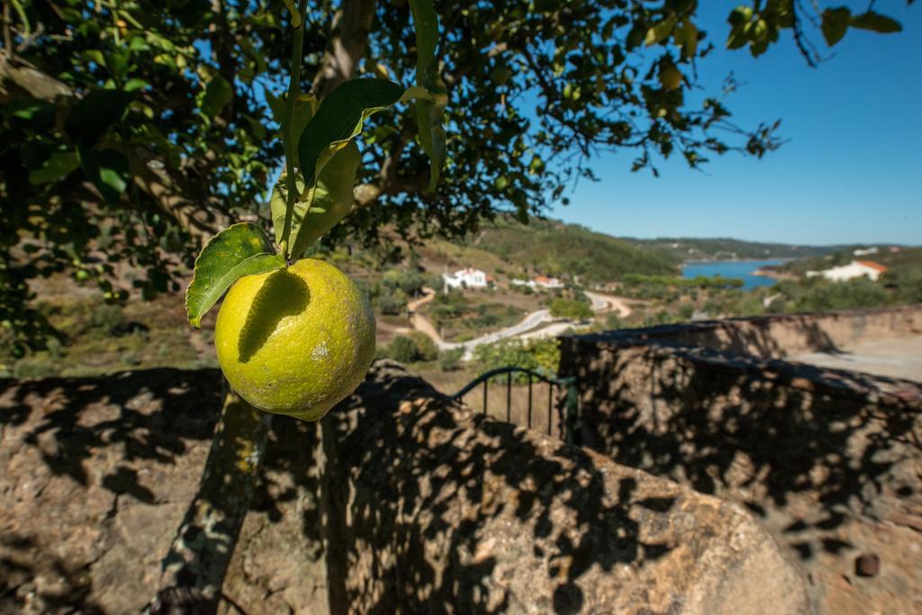 Quinta Da Eira Velha Guest House Aldeia do Mato  Eksteriør bilde